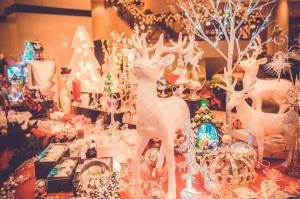 10819140_1520448278209140_1448227523_n