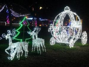 10836369_10204514565295728_1704541218_n