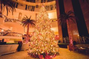 10836496_1520448181542483_91860232_n