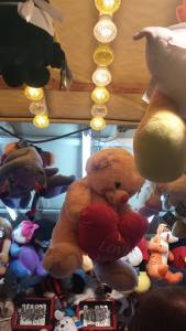 10850599_10154891767075153_228135016_n