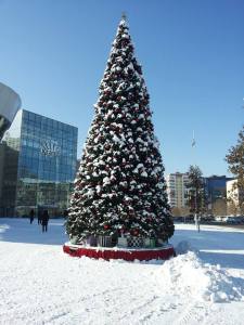 10859654_1519463048307663_1714445704_n