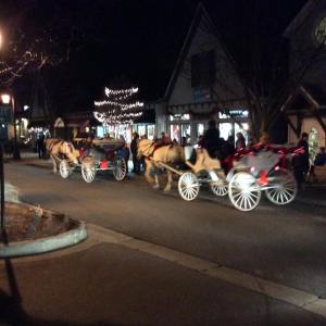 10859703_10204736297262913_1559424865_n