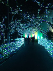 Yomiuri Land (Fun Park) 1