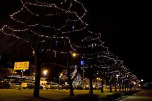 10806365_856564954396278_9153166875339175879_n