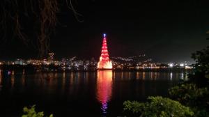 10847089_10152467700937161_1169285628_n