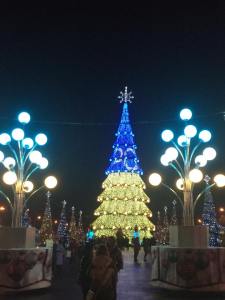 10872193_1513435685592394_901649808_n