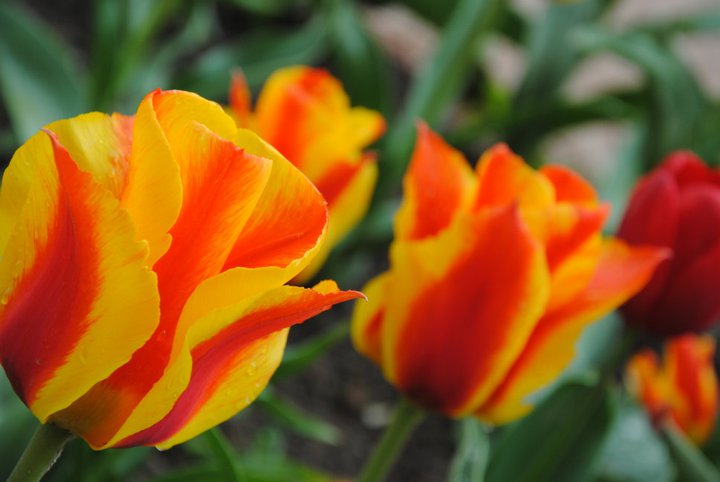 230755_10150238880789343_7122610_n