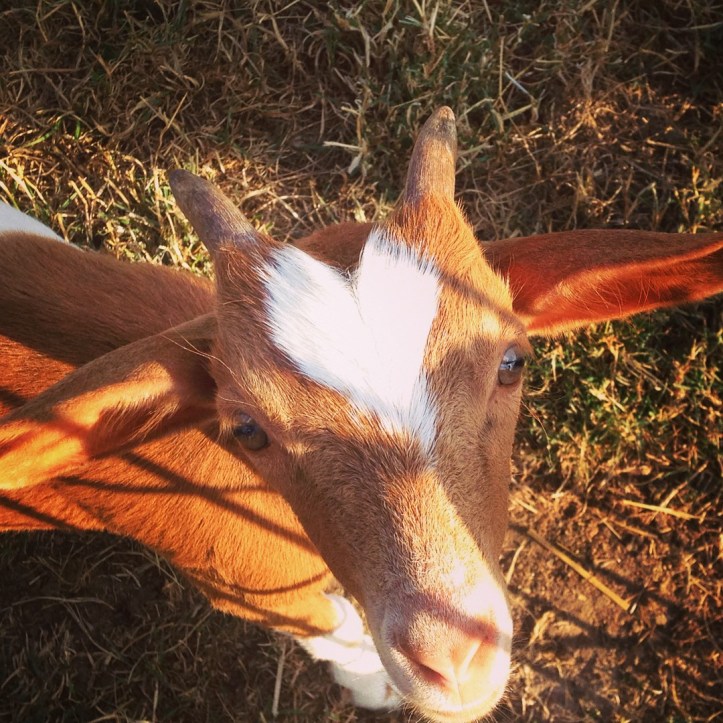 Before yet another relocation (this time to UK), we are revisiting our favourite places around Pardubice, CZ, a town, which was our home for a year.