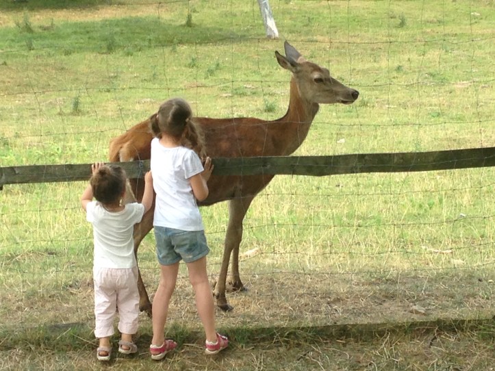 Before yet another relocation (this time to UK), we are revisiting our favourite places around Pardubice, CZ, a town, which was our home for a year.