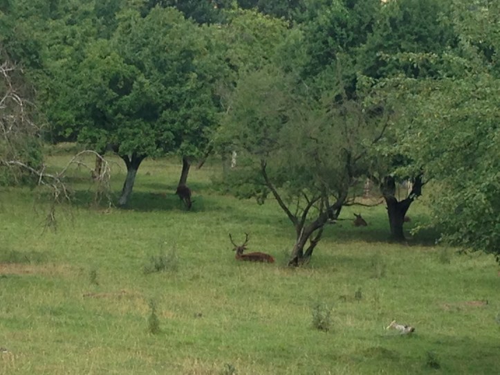 Before yet another relocation (this time to UK), we are revisiting our favourite places around Pardubice, CZ, a town, which was our home for a year.