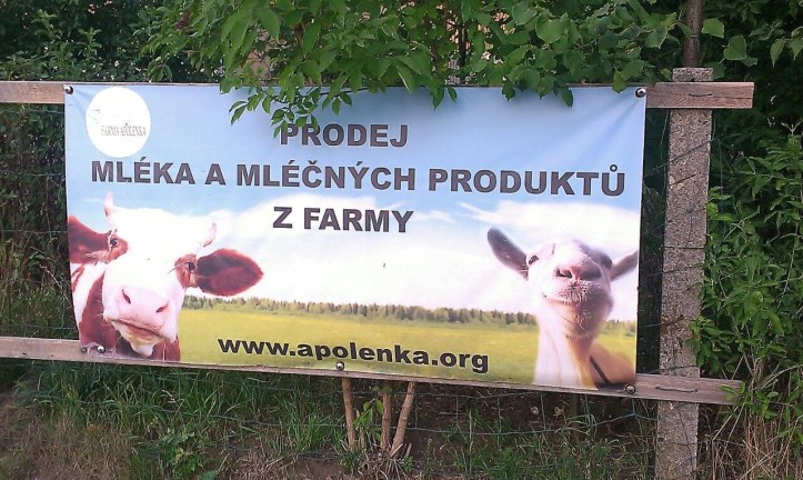 Apolenka - a mini zoo for kids and a horse rehabilitation nearby Pardubice, CZ
