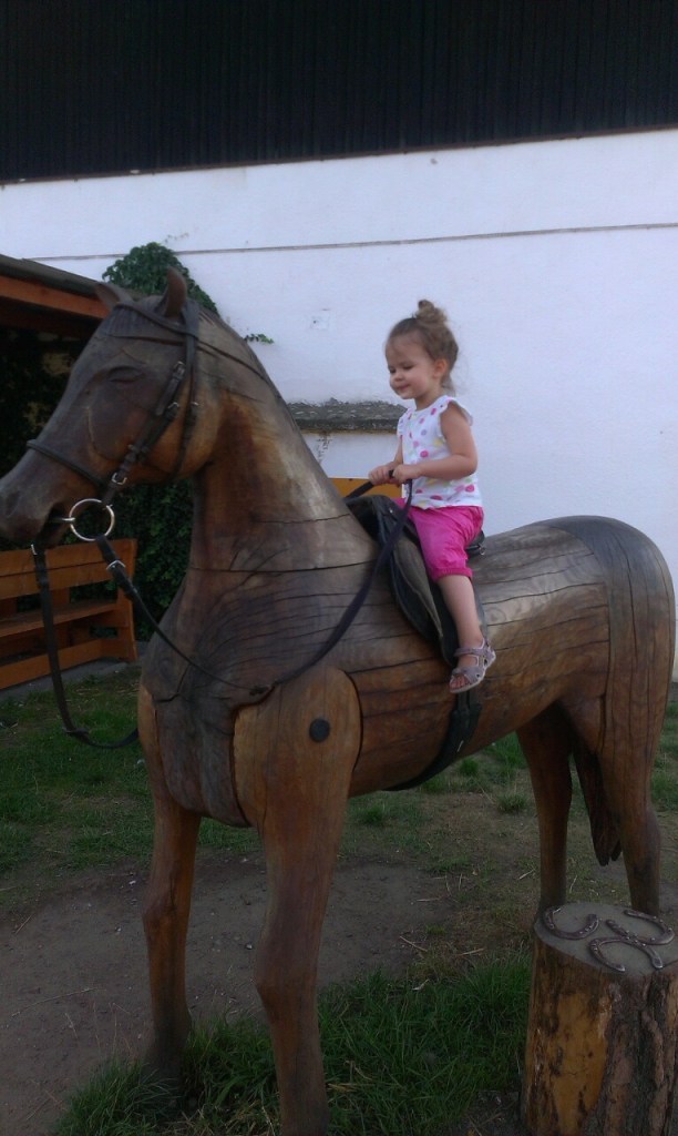 Apolenka - a mini zoo for kids and a horse rehabilitation nearby Pardubice, CZ