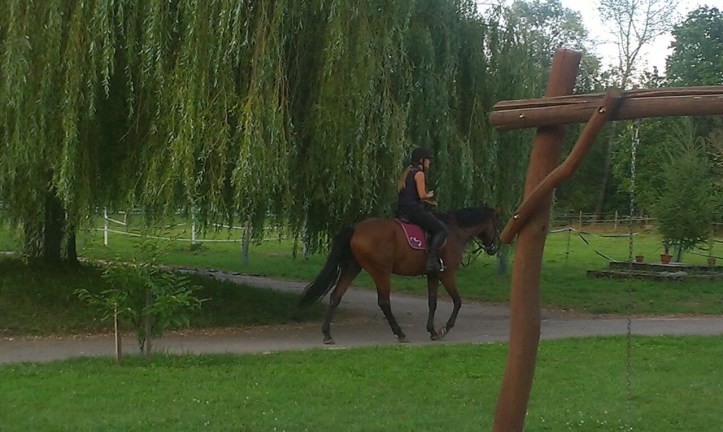 Apolenka - a mini zoo for kids and a horse rehabilitation nearby Pardubice, CZ