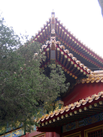 Follow us on our visit to the Forbidden Palace in Bejing, China. You can also join Show Your World link up and I will share your post on my blog and social media!