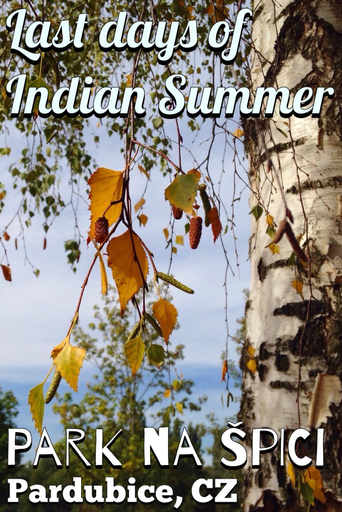 Join us on a walk around Park na Špici in Pardubice, CZ. Catching the last days of Indian Summer!