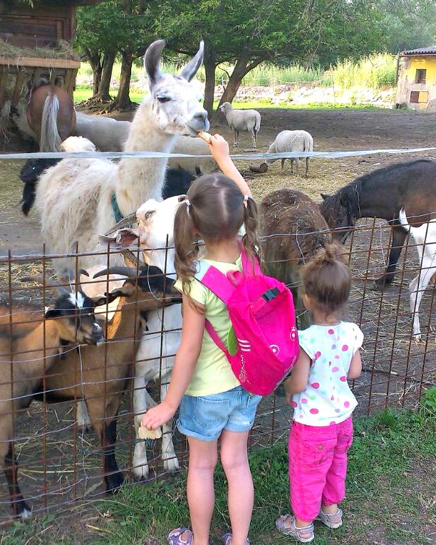 Apolenka - a mini zoo for kids and a horse rehabilitation nearby Pardubice, CZ